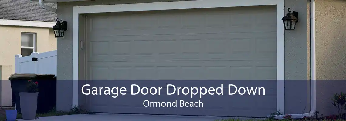 Garage Door Dropped Down Ormond Beach
