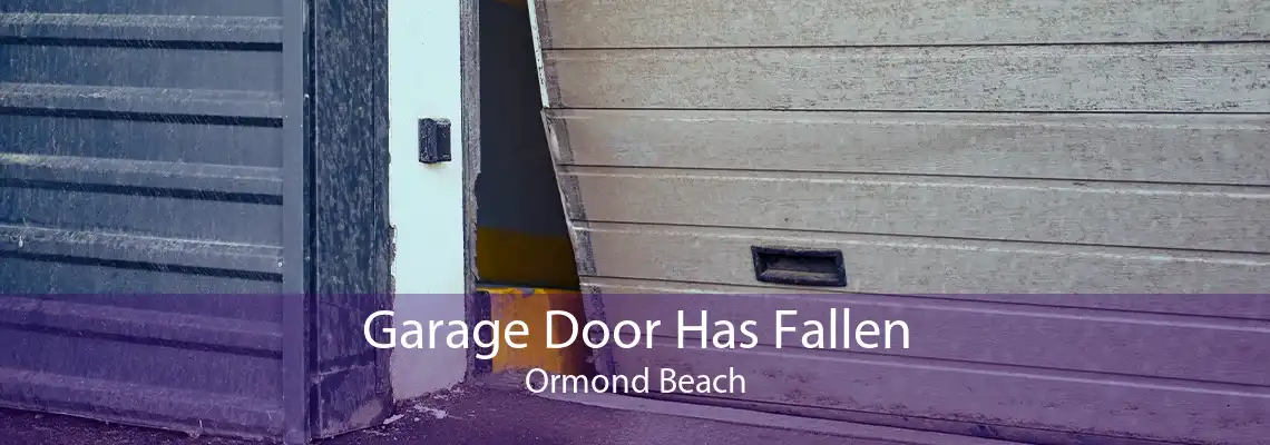 Garage Door Has Fallen Ormond Beach