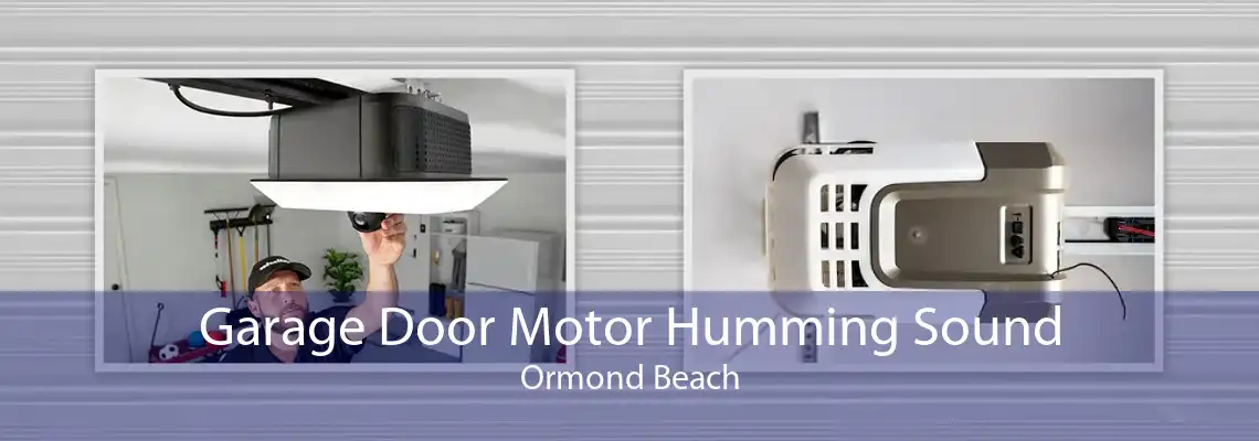 Garage Door Motor Humming Sound Ormond Beach