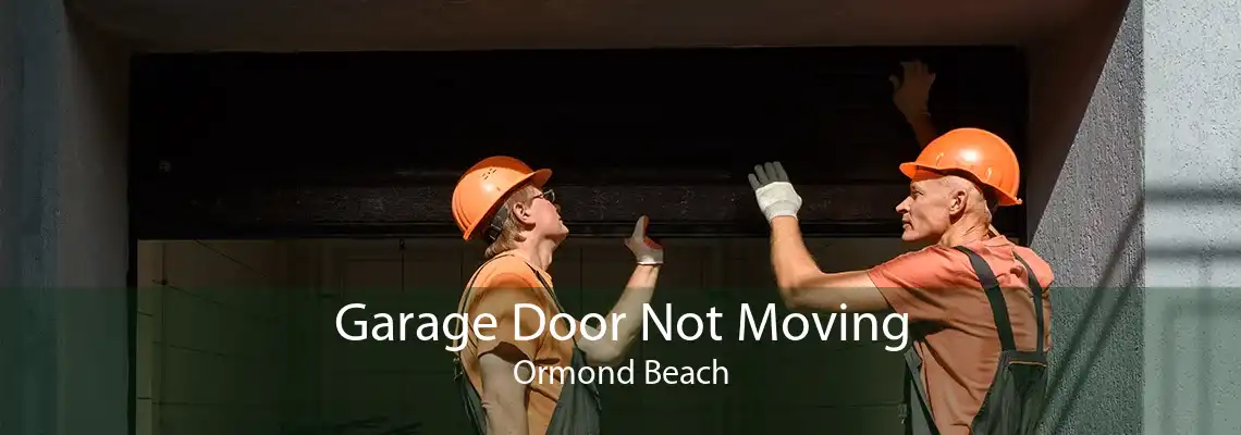 Garage Door Not Moving Ormond Beach