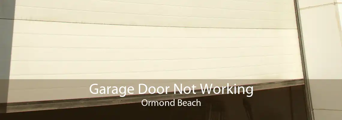 Garage Door Not Working Ormond Beach