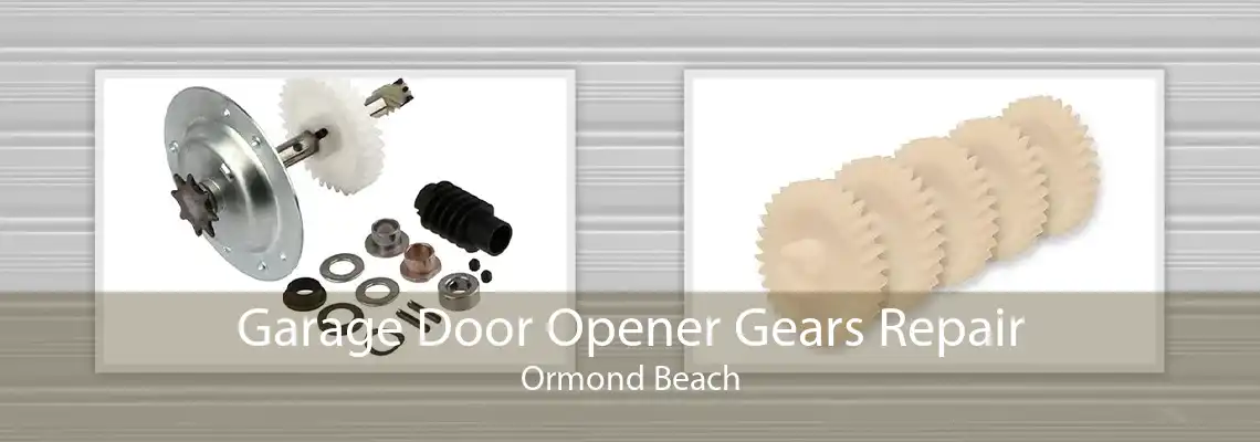 Garage Door Opener Gears Repair Ormond Beach