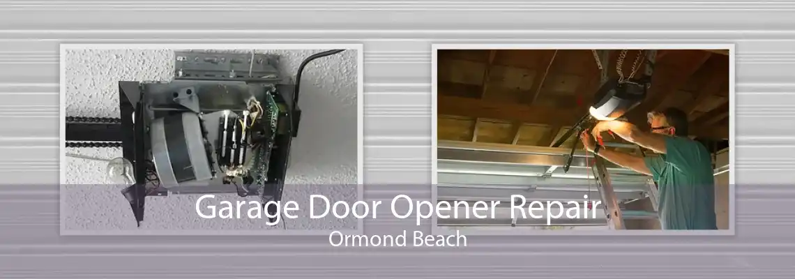 Garage Door Opener Repair Ormond Beach