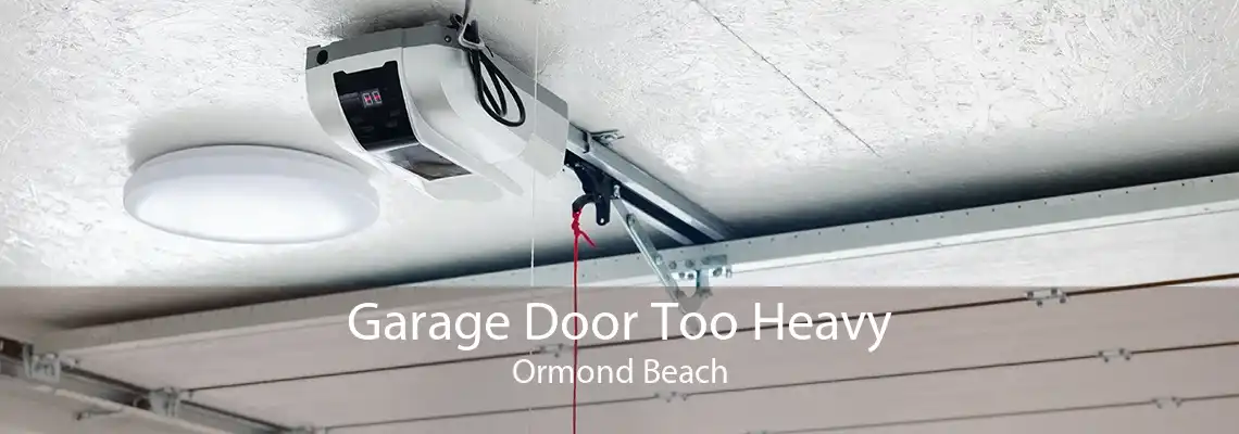 Garage Door Too Heavy Ormond Beach