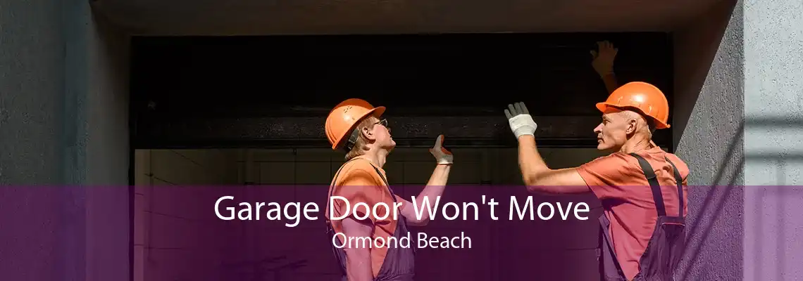 Garage Door Won't Move Ormond Beach