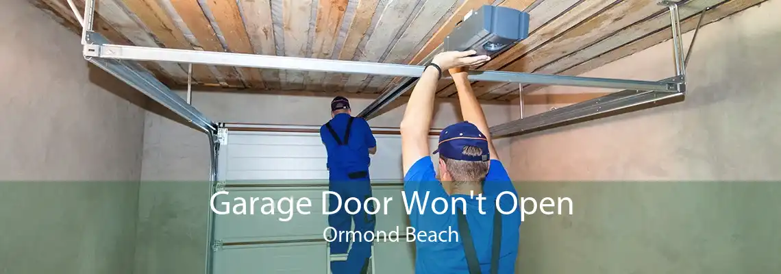 Garage Door Won't Open Ormond Beach